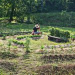 Comment aménager son potager en permaculture ?