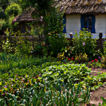 Qu’est-ce que la permaculture ?