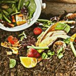 Quoi mettre dans un compost : le guide