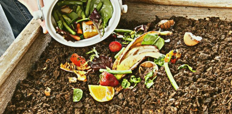 Quoi mettre dans un compost : le guide