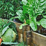 Comment faire un carré potager ?