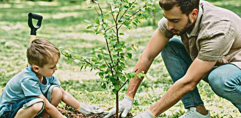 You are currently viewing Quel arbre fruitier planter dans son jardin ?