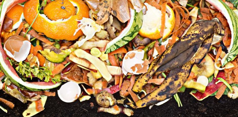 Quoi mettre dans un compost : le guide