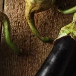 Bienfaits de l’aubergine pour la santé, le guide