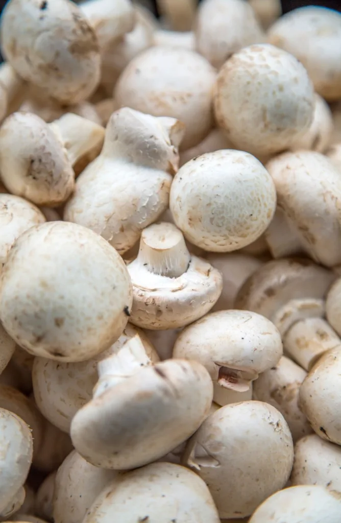 nombreux champignons de Paris