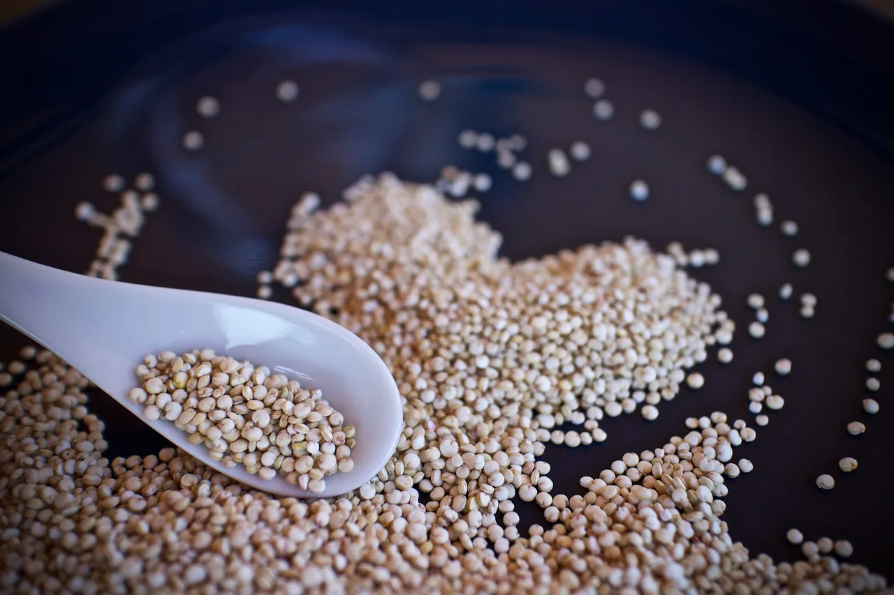 You are currently viewing Bienfaits du quinoa : tout savoir