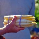 Asperge potager : comment faire pour réussir