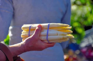 Lire la suite à propos de l’article Asperge potager : comment faire pour réussir