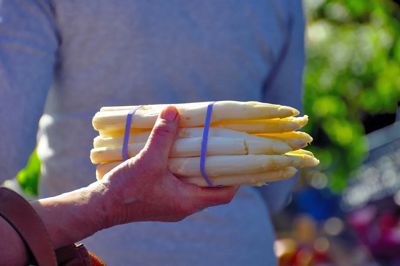 You are currently viewing Asperge potager : comment faire pour réussir