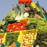 Comment acheter des légumes et des fruits en magasin ?