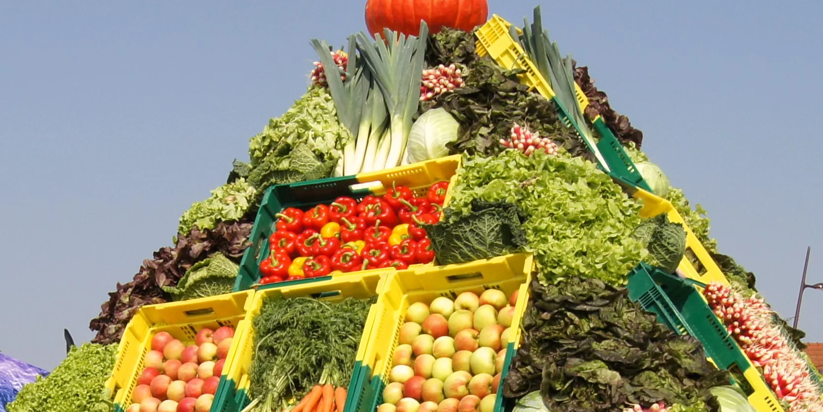 You are currently viewing Comment acheter des légumes et des fruits en magasin ?