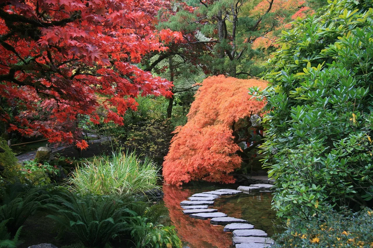 You are currently viewing Jardin japonais, comment le créer et l’entretenir