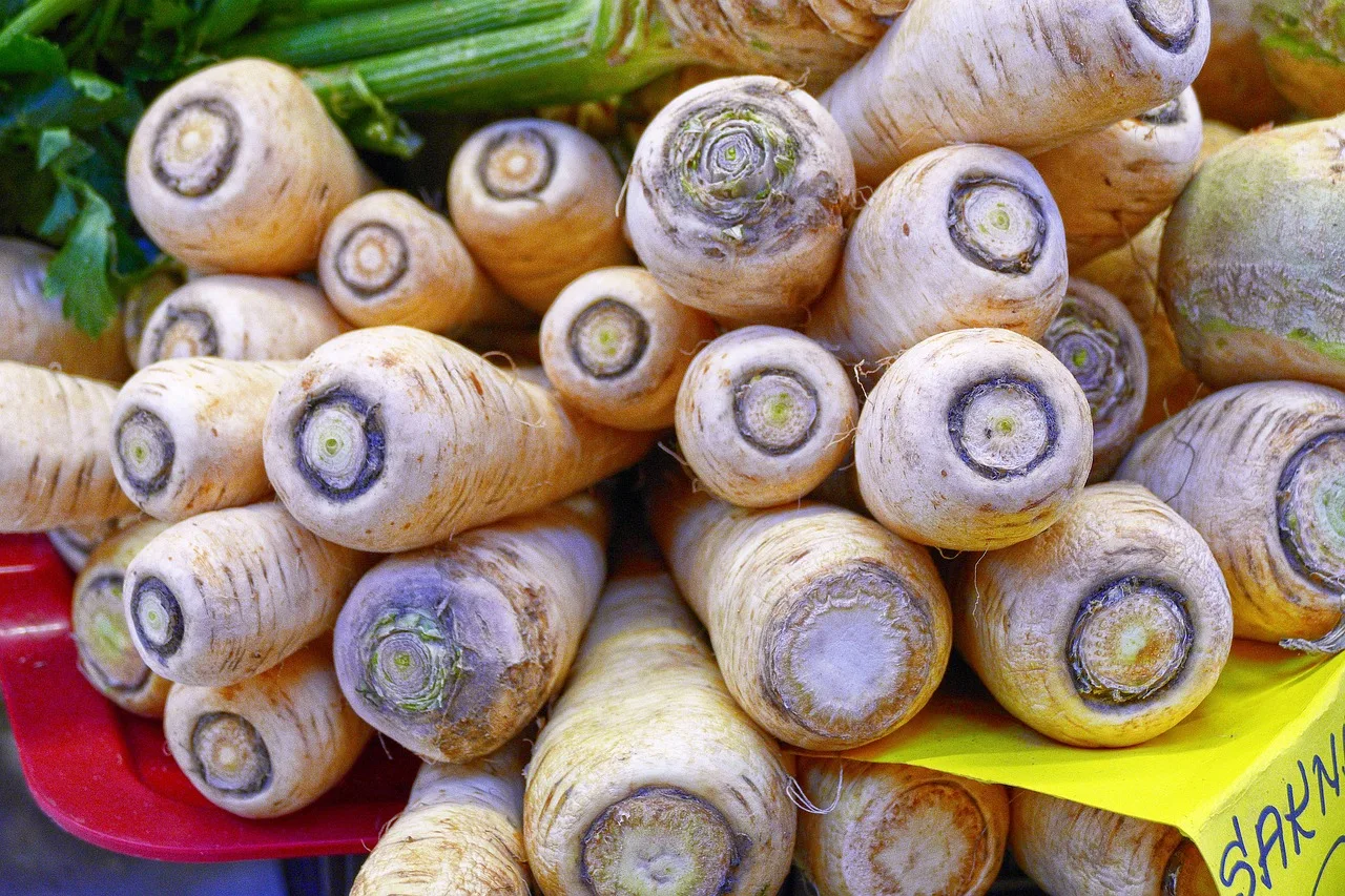 You are currently viewing Le panais, un légume aux multiples facettes