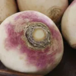 Le rutabaga, légume polyvalent qui surprend les papilles