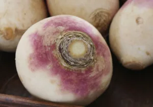 Lire la suite à propos de l’article Le rutabaga, légume polyvalent qui surprend les papilles