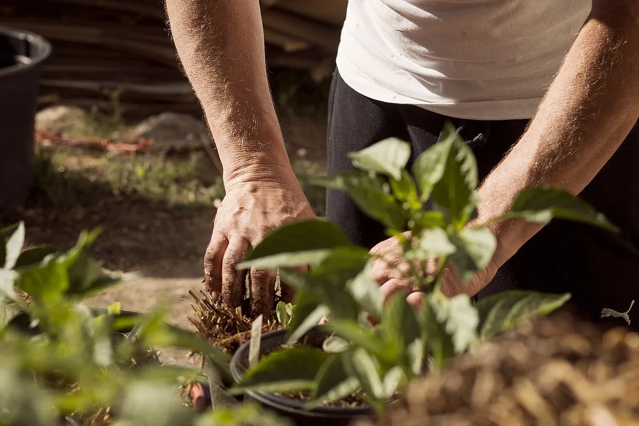 You are currently viewing Permaculture en bac : le guide pratique