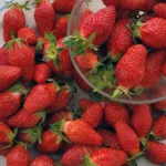 Fraise Gariguette : culture, conseils et astuces