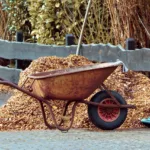 Sachez utiliser le paillis végétal au jardin