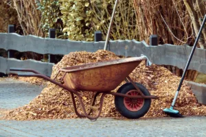 Lire la suite à propos de l’article Sachez utiliser le paillis végétal au jardin