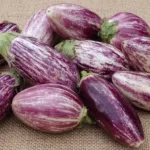 Variétés d’aubergine, faites votre (bon) choix !