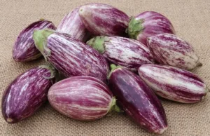 Lire la suite à propos de l’article Variétés d’aubergine, faites votre (bon) choix !