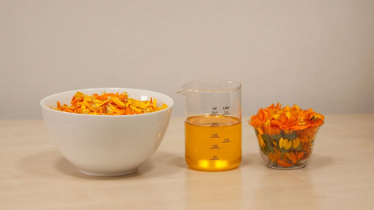 You are currently viewing Les bienfaits de la Calendula officinalis (souci)