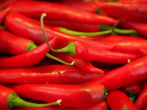 Lire la suite à propos de l’article Guide pratique pour cultiver des piments Chili