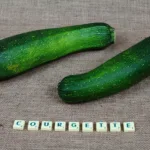 Comment cuisiner les courgettes au micro-ondes