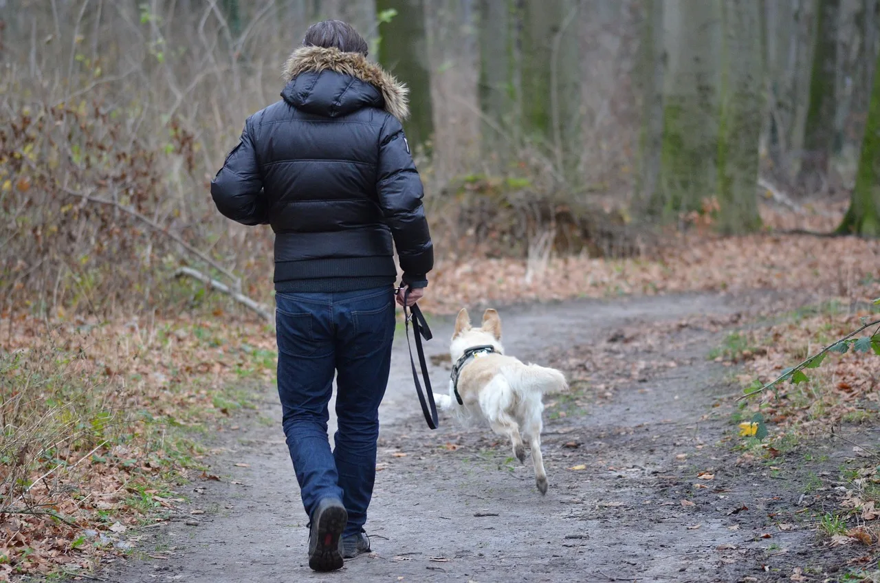 You are currently viewing Promener son chien : pourquoi c’est aussi important