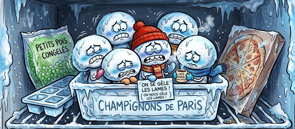 You are currently viewing Congélation des champignons : méthodes et astuces