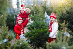Lire la suite à propos de l’article Jardin hivernal : quels végétaux associer au sapin pour une décoration naturelle ?