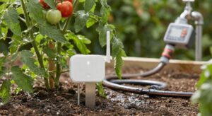 Lire la suite à propos de l’article Les accessoires connectés au potager