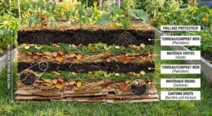 Lire la suite à propos de l’article Culture en lasagne : avantages et méthodes