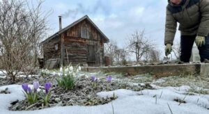 Lire la suite à propos de l’article Jardin en février : que planter et entretenir