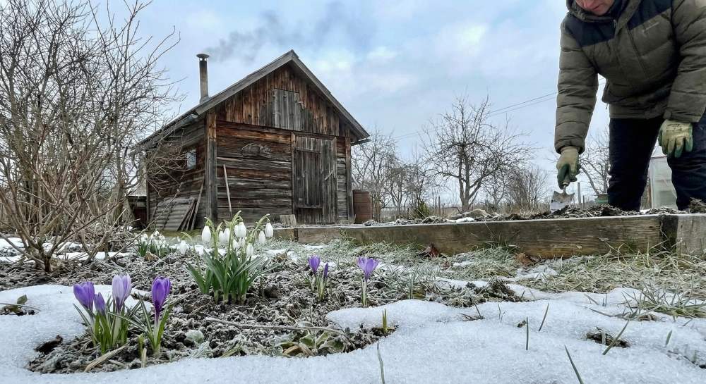 You are currently viewing Jardin en février : que planter et entretenir