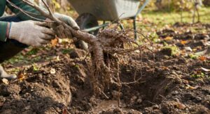 Lire la suite à propos de l’article Pralinage : tout savoir