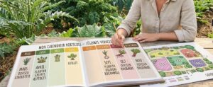 Lire la suite à propos de l’article Calendrier légumes perpétuels : mois par mois