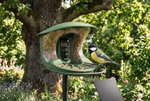 Lire la suite à propos de l’article Birdfy Feeder 2 Pro pendant la nidification : test de printemps