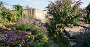 Lire la suite à propos de l’article 20 plantes increvables pour un jardin sans entretien